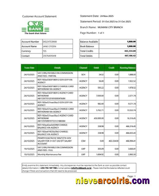 Tanzania CRDB Bank account statement Word and PDF, version 2  